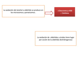 La oxidación del alcohol a aldehído se produce en                 oCitocromo p-450
         los microsomas y peroxisomas .                              o Catalasa.




                                         La oxidación de aldehídos a ácidos tiene lugar
                                           por acción de la aldehído deshidrogenasa
 
