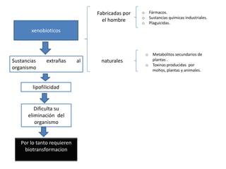 Fabricadas por   o       Fármacos.
                                                  o       Sustancias químicas industriales.
                                   el hombre      o       Plaguicidas.
        xenobioticos



                                                      o     Metabolitos secundarios de
Sustancias    extrañas      al    naturales                 plantas .
                                                      o     Toxinas producidas por
organismo                                                   mohos, plantas y animales.


        lipofilicidad


         Dificulta su
      eliminación del
         organismo


   Por lo tanto requieren
    biotransformacion
 