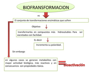 BIOFRANSFORMACION
                              es
        El conjunto de transformaciones enzimáticas que sufren

                        Objetivo

          transformarlos en compuestos más       hidrosolubles Para   ser
          excretados con facilidad.

                          Es decir
                            Incrementa su polaridad.

      Sin embargo


en algunos casos se generan metabolitos con
mayor actividad biológica, más reactivos y en
consecuencia con propiedades tóxica.
 