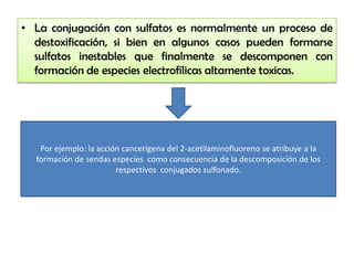 • La conjugación con sulfatos es normalmente un proceso de
  destoxificación, si bien en algunos casos pueden formarse
  sulfatos inestables que finalmente se descomponen con
  formación de especies electrofílicas altamente toxicas.




   Por ejemplo: la acción cancerígena del 2-acetilaminofluoreno se atribuye a la
  formación de sendas especies como consecuencia de la descomposición de los
                        respectivos conjugados sulfonado.
 