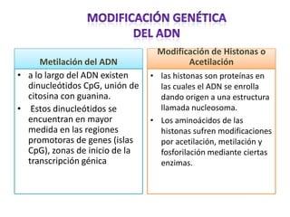 Modificación de Histonas o
     Metilación del ADN                 Acetilación
• a lo largo del ADN existen    • las histonas son proteínas en
  dinucleótidos CpG, unión de     las cuales el ADN se enrolla
  citosina con guanina.           dando origen a una estructura
• Estos dinucleótidos se          llamada nucleosoma.
  encuentran en mayor           • Los aminoácidos de las
  medida en las regiones          histonas sufren modificaciones
  promotoras de genes (islas      por acetilación, metilación y
  CpG), zonas de inicio de la     fosforilación mediante ciertas
  transcripción génica            enzimas.
 