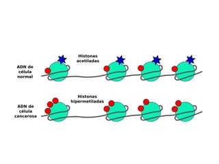 Equipo 4 biotransformacion de toxones