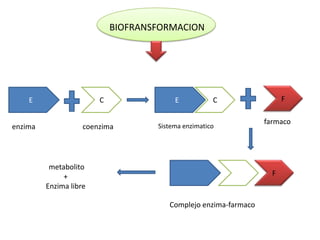 BIOFRANSFORMACION




    E                   C                E           C                 F

                                                                 farmaco
enzima              coenzima        Sistema enzimatico




          metabolito
              +                                                    F
         Enzima libre

                                       Complejo enzima-farmaco
 