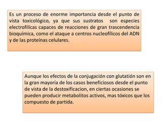 Es un proceso de enorme importancia desde el punto de
vista toxicológico, ya que sus sustratos son especies
electrofilicas capaces de reacciones de gran trascendencia
bioquímica, como el ataque a centros nucleofílicos del ADN
y de las proteínas celulares.




      Aunque los efectos de la conjugación con glutatión son en
      la gran mayoría de los casos beneficiosos desde el punto
      de vista de la destoxificacion, en ciertas ocasiones se
      pueden producir metabolitos activos, mas tóxicos que los
      compuesto de partida.
 