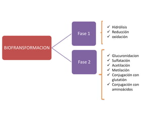  Hidrólisis
                    Fase 1    Reducción
                              oxidación

BIOFRANSFORMACION
                              Glucuronidacion
                    Fase 2    Sulfatación
                              Acetilación
                              Metilación
                              Conjugación con
                               glutatión
                              Conjugación con
                               aminoácidos
 