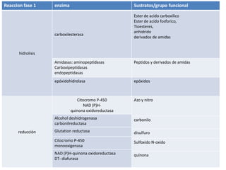Reaccion fase 1     enzima                            Sustratos/grupo funcional

                                                      Ester de acido carboxilico
                                                      Ester de acido fosforico,
                                                      Tioesteres,
                                                      anhidrido
                    carboxilesterasa
                                                      derivados de amidas


       hidrolisis

                    Amidasas: aminopeptidasas         Peptidos y derivados de amidas
                    Carboxipeptidasas
                    endopeptidasas
                    epóxidohidrolasa                  epóxidos



                                Citocromo P-450       Azo y nitro
                                   NAD (P)H-
                             quinona oxidoreductasa
                    Alcohol deshidrogenasa            carbonilo
                    carbonilreductasa
      reducción     Glutation reductasa               disulfuro
                    Citocromo P-450                   Sulfoxido N-oxido
                    monooxigenasa
                    NAD (P)H-quinona oxidoreductasa   quinona
                    DT- diafurasa
 