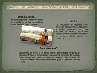 ¿Para qué se crea?
Para dar respuesta a las necesidades
                                                                   objetivo
de la población de las comunidades
rurales en condiciones de pobreza.                 La realización de proyectos que
                                                   presenten alternativas de producción
                                                   y empleo sustentable, así como
                                                   acciones de beneficio social que
                                                   tiendan a elevar la calidad de vida de
                                                   la población donde operan los
                                                   proyectos




                               ¿Cómo se presenta?

         El programa se orienta a las zonas ixtleras, comunidades indígenas del
         estado de Puebla y comunidades mayas de la península de Yucatán.
         Cabe señalar que estos proyectos se financian con recursos del
         Gobierno Federal y del Fondo Internacional para el Desarrollo Agrícola
         (FIDA).
 