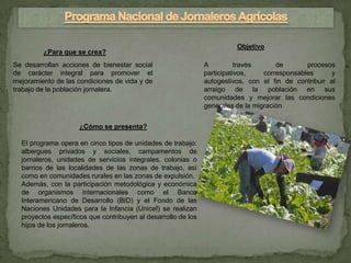 Objetivo
         ¿Para que se crea?
Se desarrollan acciones de bienestar social                    A          través      de       procesos
de carácter integral para promover el                          participativos,    corresponsables      y
mejoramiento de las condiciones de vida y de                   autogestivos, con el fin de contribuir al
trabajo de la población jornalera.                             arraigo de la población en sus
                                                               comunidades y mejorar las condiciones
                                                               generales de la migración


                     ¿Cómo se presenta?

  El programa opera en cinco tipos de unidades de trabajo:
  albergues privados y sociales, campamentos de
  jornaleros, unidades de servicios integrales, colonias o
  barrios de las localidades de las zonas de trabajo, así
  como en comunidades rurales en las zonas de expulsión.
  Además, con la participación metodológica y económica
  de organismos internacionales como el Banco
  Interamericano de Desarrollo (BID) y el Fondo de las
  Naciones Unidades para la Infancia (Unicef) se realizan
  proyectos específicos que contribuyen al desarrollo de los
  hijos de los jornaleros.
 
