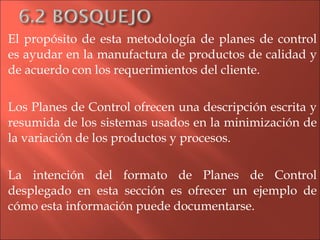 El propósito de esta metodología de planes de control es ayudar en la manufactura de productos de calidad y de acuerdo con los requerimientos del cliente. Los Planes de Control ofrecen una descripción escrita y resumida de los sistemas usados en la minimización de la variación de los productos y procesos. La intención del formato de Planes de Control desplegado en esta sección es ofrecer un ejemplo de cómo esta información puede documentarse. 