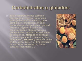  Están compuestos por carbono,
hidrógeno y oxígeno. Su función
principal es aportar energía, pero
también se construyen con ellos
moléculas que luego forman parte de
nuestros órganos. Pueden ser
monosacáridos, oligosacáridos o
polisacáridos, aunque normalmente
se dividen en: almidones o féculas
(como las patatas, los cereales y las
legumbres), azúcares (presentes en las
frutas, leche, miel...) y fibra (presente
en verduras, frutos secos, frutas,
cereales, legumbres...).
 