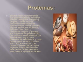  Son los únicos micronutrientes
que poseen nitrógeno (contienen
carbono, hidrógeno, nitrógeno y
oxígeno). Tienen muchas
funciones en las células de
nuestro cuerpo: forman parte de
algunas estructuras (músculos,
tendones, piel, uñas...),
transportan oxígeno y grasas y
son la base de los genes (ADN).
Las proteínas están formadas por
aminoácidos; hay 20 tipos
diferentes de aminoácidos, y cada
proteína está formada por unos
100 ó 200 aminoácidos. Las
proteínas pueden ser de origen
vegetal o animal; las animales
están en las carnes, pescados,
aves, huevos y productos lácteos.
 