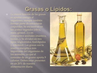  La mayor función de las grasas
es aportar energía al
organismo, aunque también
forman parte de estructuras
corporales. Se encuentran en
los aceites vegetales (oliva,
maíz, girasol...) y en
compuestos animales (manteca,
tocino...). Se dividen en tres
tipos: triglicéridos, fosfolípidos
y colesterol. Las grasas son la
reserva energética más
importante del organismo de
los animales, ya que el
consumo de un gramo aporta 9
calorías. Deben estar presentes
en un 20% de nuestra
alimentación diaria.
 