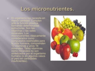  El organismo los necesita en
menor cantidad. Cumplen
sólo la función plástica,
formando determinadas
estructuras. Son las
vitaminas y las sales
minerales. Los
micronutrientes clásicamente
considerados como
compuestos esenciales para
la vida humana, comprenden
13 vitaminas y unos 16
minerales. Tanto vitaminas
como minerales no son
sintetizados por el organismo
humano (o en algunos casos
sí pero en cantidades
insuficientes),
 