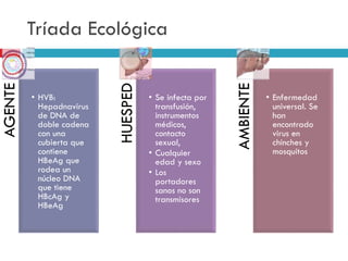 Tríada Ecológica
AGENTE
• HVB:
Hepadnavirus
de DNA de
doble cadena
con una
cubierta que
contiene
HBeAg que
rodea un
núcleo DNA
que tiene
HBcAg y
HBeAg
HUESPED
• Se infecta por
transfusión,
instrumentos
médicos,
contacto
sexual,
• Cualquier
edad y sexo
• Los
portadores
sanos no son
transmisores
AMBIENTE
• Enfermedad
universal. Se
han
encontrado
virus en
chinches y
mosquitos
 