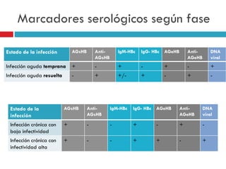 Marcadores serológicos según fase
Estado de la infección AGsHB Anti-
AGsHB
IgM-HBc IgG- HBc AGeHB Anti-
AGeHB
DNA
viral
Infección aguda temprana + - + - + - +
Infección aguda resuelta - + +/- + - + -
Estado de la
infección
AGsHB Anti-
AGsHB
IgM-HBc IgG- HBc AGeHB Anti-
AGeHB
DNA
viral
Infección crónica con
baja infectividad
+ - - + - + -
Infección crónica con
infectividad alta
+ - - + + - +
 