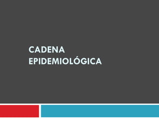 CADENA
EPIDEMIOLÓGICA
 