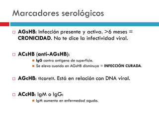 Marcadores serológicos
 AGsHB: Infección presente y activa. >6 meses =
CRONICIDAD. No te dice la infectividad viral.
 ACsHB (anti-AGsHB):
 IgG contra antígeno de superficie.
 Se eleva cuando en AGsHB disminuye = INFECCIÓN CURADA.
 AGcHB: «core». Está en relación con DNA viral.
 ACcHB: IgM o IgG:
 IgM aumenta en enfermedad aguda.
 