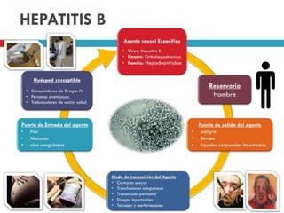HEPATITIS B
 