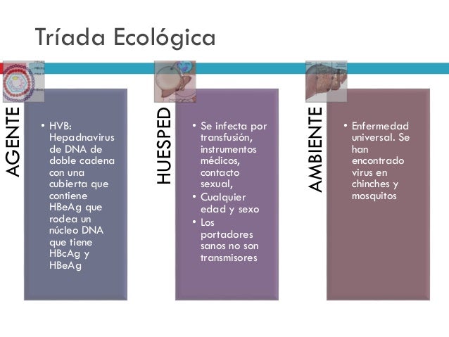 Epidemiología. Hepatitis B