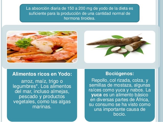 alimentos ricos en yodo para hipotiroidismo hipertiroidismo e hipotiroidismo alimentos ricos en yodo para hipotiroidismo hipertiroidismo e hipotiroidismo