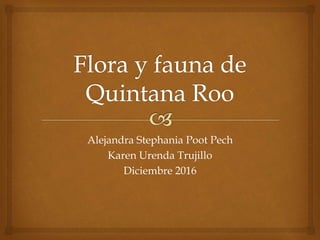 Alejandra Stephania Poot Pech
Karen Urenda Trujillo
Diciembre 2016
 