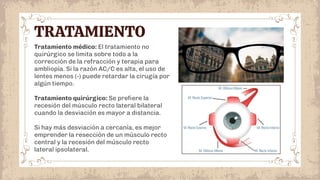 TRATAMIENTO
Tratamiento médico: El tratamiento no
quirúrgico se limita sobre todo a la
corrección de la refracción y terapia para
ambliopía. Si la razón AC/C es alta, el uso de
lentes menos (-) puede retardar la cirugía por
algún tiempo.
Tratamiento quirúrgico: Se preﬁere la
recesión del músculo recto lateral bilateral
cuando la desviación es mayor a distancia.
Si hay más desviación a cercanía, es mejor
emprender la resección de un músculo recto
central y la recesión del músculo recto
lateral ipsolateral.
 