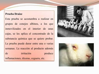 Prueba Draize
Esta prueba se acostumbra a realizar en
grupos de conejos albinos, a los que
inmovilizados en el interior de unas
cajas, se les aplica el concentrado de la
substancia química que se quiere probar.
La prueba puede durar entre una o varias
semanas. La reacción al producto además
de            irritación            produce
inflamaciones, úlceras, ceguera, etc.
 