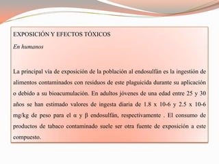 EXPOSICIÓN Y EFECTOS TÓXICOS

En humanos



La principal vía de exposición de la población al endosulfán es la ingestión de
alimentos contaminados con residuos de este plaguicida durante su aplicación
o debido a su bioacumulación. En adultos jóvenes de una edad entre 25 y 30
años se han estimado valores de ingesta diaria de 1.8 x 10-6 y 2.5 x 10-6
mg/kg de peso para el α y β endosulfán, respectivamente . El consumo de
productos de tabaco contaminado suele ser otra fuente de exposición a este
compuesto.
 