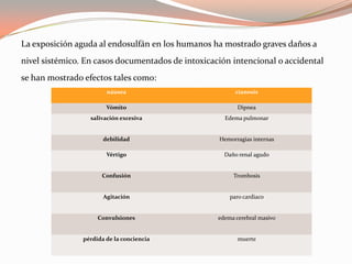 La exposición aguda al endosulfán en los humanos ha mostrado graves daños a
nivel sistémico. En casos documentados de intoxicación intencional o accidental
se han mostrado efectos tales como:
                        náusea                           cianosis

                        Vómito                            Dipnea
                  salivación excesiva                Edema pulmonar


                       debilidad                   Hemorragias internas

                        Vértigo                      Daño renal agudo


                      Confusión                         Trombosis


                       Agitación                       paro cardiaco


                     Convulsiones                  edema cerebral masivo


                pérdida de la conciencia                  muerte
 