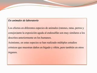 En animales de laboratorio

Los efectos en diferentes especies de animales (ratones, ratas, perros y
conejos)ante la exposición aguda al endosulfán son muy similares a los
descritos anteriormente en los humanos.
Asimismo, en estas especies se han realizado múltiples estudios
crónicos que muestran daños en hígado y riñón, pero también en otros
órganos.
 