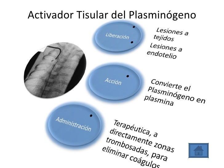 Equipo 7 Hemostasia Grupo Iv 6