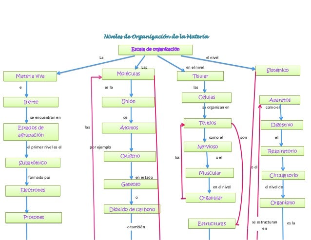 Equipo 8 mapa_conceptual