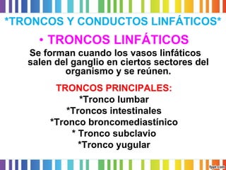 *TRONCOS Y CONDUCTOS LINFÁTICOS* 
•TRONCOS LINFÁTICOS 
Se forman cuando los vasos linfáticos salen del ganglio en ciertos sectores del organismo y se reúnen. 
TRONCOS PRINCIPALES: 
*Tronco lumbar 
*Troncos intestinales 
*Tronco broncomediastínico 
* Tronco subclavio 
*Tronco yugular  