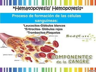 *Hematopoyesis/ Hemopoyesis* Proceso de formación de las células sanguíneas: *Leucocitos-Glóbulos blancos*Eritrocitos-Glóbulos rojos*Trombocitos-Plaquetas  