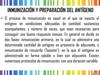 INMUNIZACIÓN Y PREPARACIÓN DEL ANTÍGENO 
•Elprocesodeinmunizaciónesaquelenelqueseinyectaelantígenoencondicionesadecuadasdecantidad,sustanciasacompañantes,ynúmerodeveces,queseannecesariasparaconseguirunabuenarespuestainmune.Engeneralsedivideendosfases:inmunizaciónprimaria,enlacualseadministraunadeterminadacantidaddeantígenoenpresenciadeadyuvante,einmunizaciónderecuerdo('booster'),enlaqueelantígenoesadministradoenformasolubleobienconadyuvante.Existennumerososprotocolosdeinmunización,conunaduraciónvariable.  
