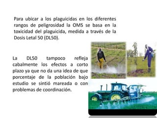 Para ubicar a los plaguicidas en los diferentes
rangos de peligrosidad la OMS se basa en la
toxicidad del plaguicida, medida a través de la
Dosis Letal 50 (DL50).


La     DL50    tampoco      refleja
cabalmente los efectos a corto
plazo ya que no da una idea de que
porcentaje de la población bajo
estudio se sintió mareada o con
problemas de coordinación.
 
