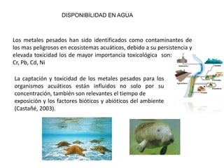 DISPONIBILIDAD EN AGUA



Los metales pesados han sido identificados como contaminantes de
los mas peligrosos en ecosistemas acuáticos, debido a su persistencia y
elevada toxicidad los de mayor importancia toxicológica son: Hg, As,
Cr, Pb, Cd, Ni

La captación y toxicidad de los metales pesados para los
organismos acuáticos están influidos no solo por su
concentración, también son relevantes el tiempo de
exposición y los factores bióticos y abióticos del ambiente
(Castañé, 2003).
 