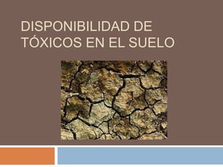 DISPONIBILIDAD DE
TÓXICOS EN EL SUELO
 