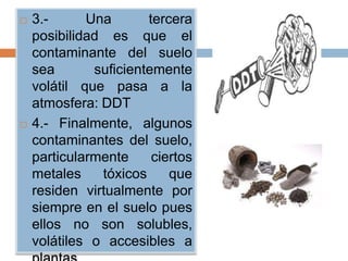    3.-      Una       tercera
    posibilidad es que el
    contaminante del suelo
    sea       suficientemente
    volátil que pasa a la
    atmosfera: DDT
   4.- Finalmente, algunos
    contaminantes del suelo,
    particularmente     ciertos
    metales    tóxicos     que
    residen virtualmente por
    siempre en el suelo pues
    ellos no son solubles,
    volátiles o accesibles a
 