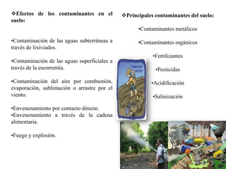 Efectos de los contaminantes en el           Principales contaminantes del suelo:
suelo:
                                                    •Contaminantes metálicos

•Contaminación de las aguas subterráneas a          •Contaminantes orgánicos
través de lixiviados.
                                                          •Fertilizantes
•Contaminación de las aguas superficiales a
través de la escorrentía.                                  •Pesticidas

•Contaminación del aire por combustión,                  •Acidificación
evaporación, sublimación o arrastre por el
viento.                                                   •Salinización

•Envenenamiento por contacto directo.
•Envenenamiento a través de la cadena
alimentaria.

•Fuego y explosión.
 