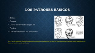 LOS PATRONES BÁSICOS
• Rectas
• Curvas
• Líneas sinusoidales/espirales
• Puntos
• Combinaciones de los anteriores
NOTA: Si nos fijamos en cualquier composición las tramas y las sombras no son más que una combinación de miles de trazos en armonía, que
siguen un patrón y dan forma al tema.
 