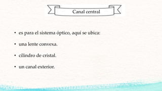 Canal central
• es para el sistema óptico, aquí se ubica:
• una lente convexa.
• cilindro de cristal.
• un canal exterior.
 
