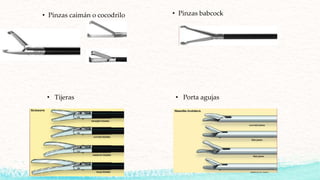 • Pinzas caimán o cocodrilo • Pinzas babcock
• Tijeras • Porta agujas
 