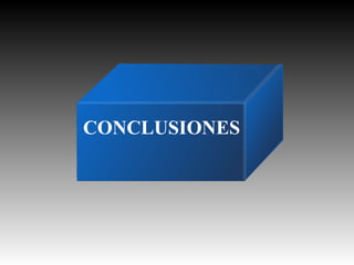CONCLUSIONES

 