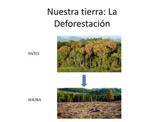 Nuestra tierra: La
Deforestación
ANTES
AHORA
 