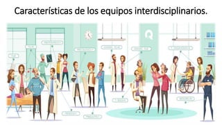 Características de los equipos interdisciplinarios.
 