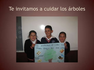 Te invitamos a cuidar los árboles
 