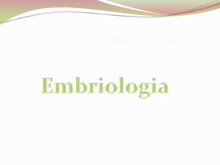 Embriologia