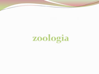 zoologia