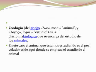  Zoología (del griego «Ζωο» zoon = "animal", y «λογος», logos = "estudio") es la disciplinabiológica que se encarga del estudio de los animales. En ete caso el animal que estamos estudiando es el pez volador es de aquí donde se empieza el estudio de el animal 